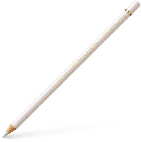 Polychromos pencil warm gray i