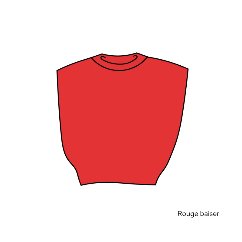 Pull Suzie - 20 coloris.