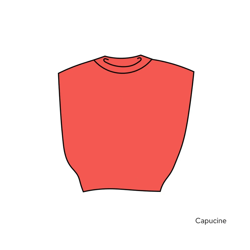 Pull Suzie - 20 coloris.