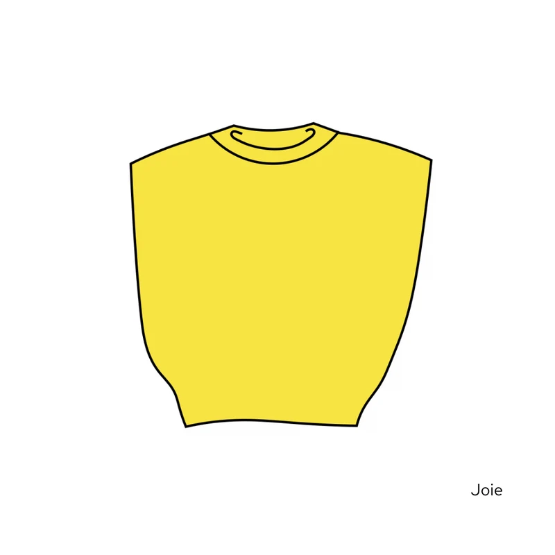 Pull Suzie - 20 coloris.