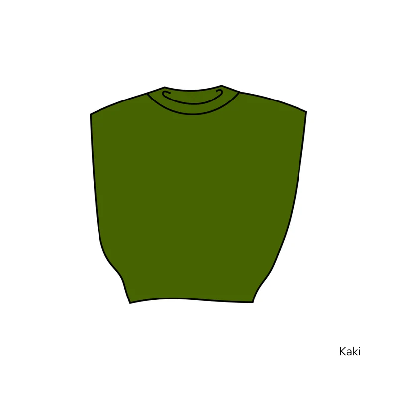 Pull Suzie - 20 coloris.