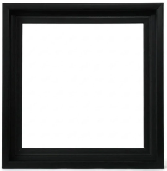 Floater Frame Gallery Black - 12x12"