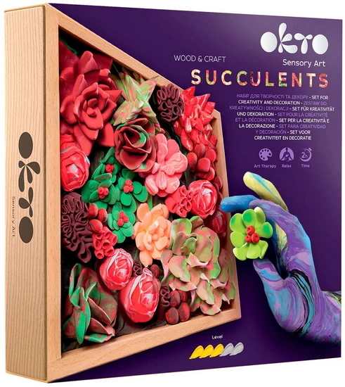 Ens. créatif d'argile Succulentes passion
