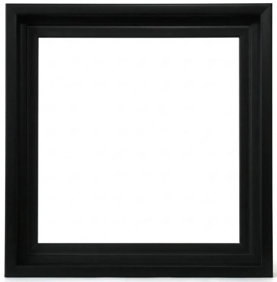 Floater Frame Gallery - Black - 10x10 In
