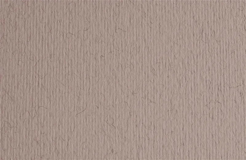Fabriano Bristol Board - BARK INCH - 20 X 28 INCHES GRAMPERSQUAR