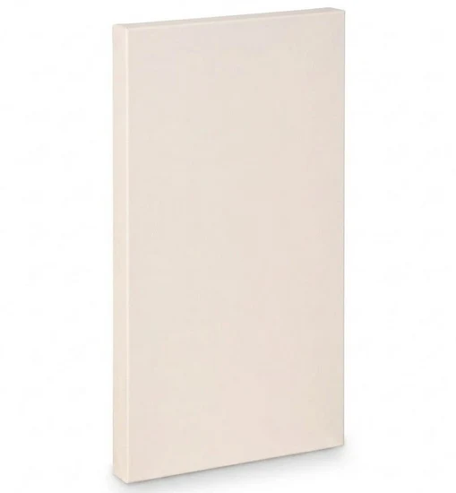 Artist canvas gallery - 8x16"