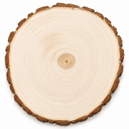 Wood slice