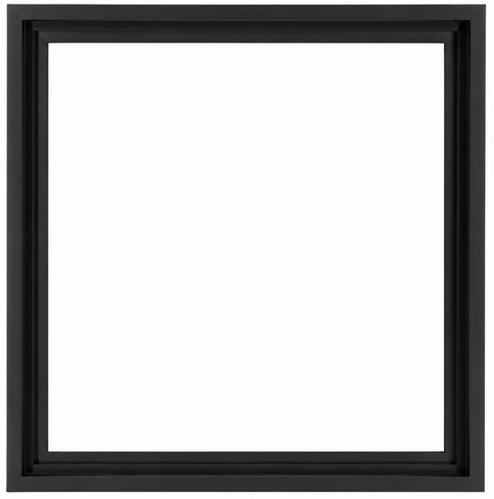 Floater Frame Wood Regular Black - 12''X12''