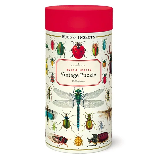 Insects 1000 Pcs