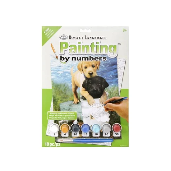 Paint By Numbers Junior Fishing Buddies