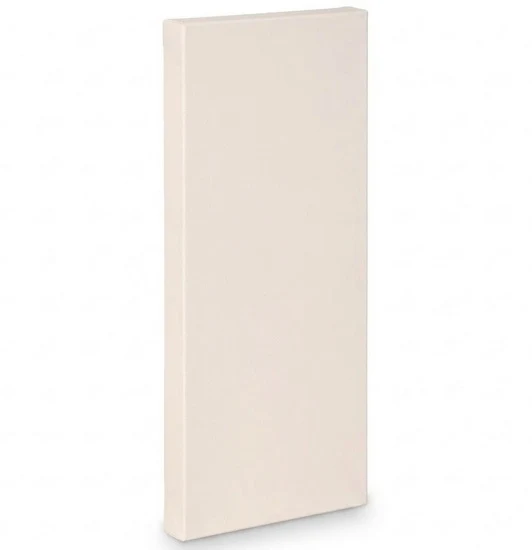 Artist canvas gallery - 24x60"
