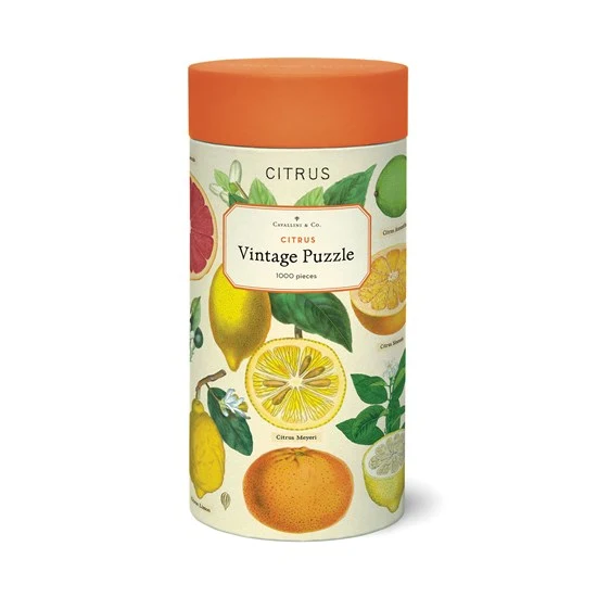 Lemon 1000 Pcs