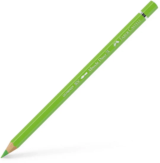 Albrecht dürer watercolour pencil light green