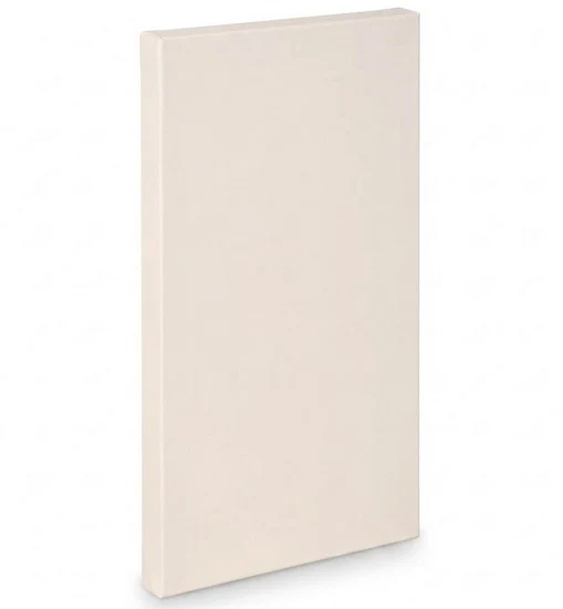 Artist canvas gallery - 16x30"