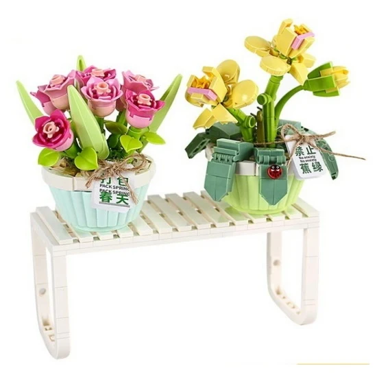Potted Tulip and Butterfly Orchid