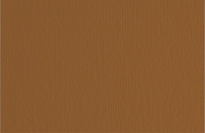 Fabriano Bristol Board - BROWN INCH - 20 X 28 INCHES GRAMPERSQUA