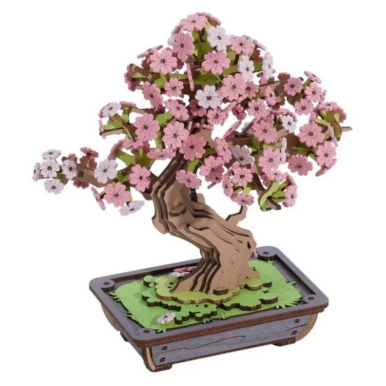 Sakura Bonsai