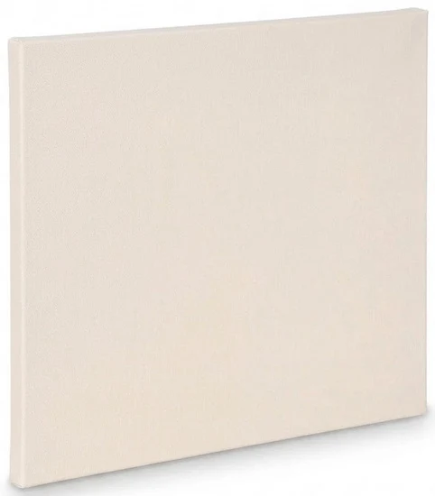Artist canvas standard - 30x36"