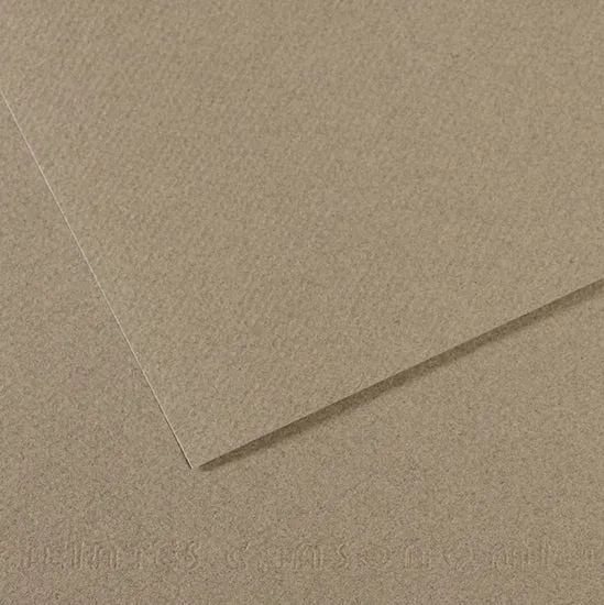 Colored paper - 160gsm - mi-teintes - 50x60cm - felt gray