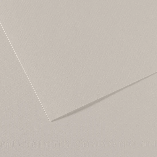 Colored paper - 160gsm - mi-teintes - 50x60cm - pearl gray
