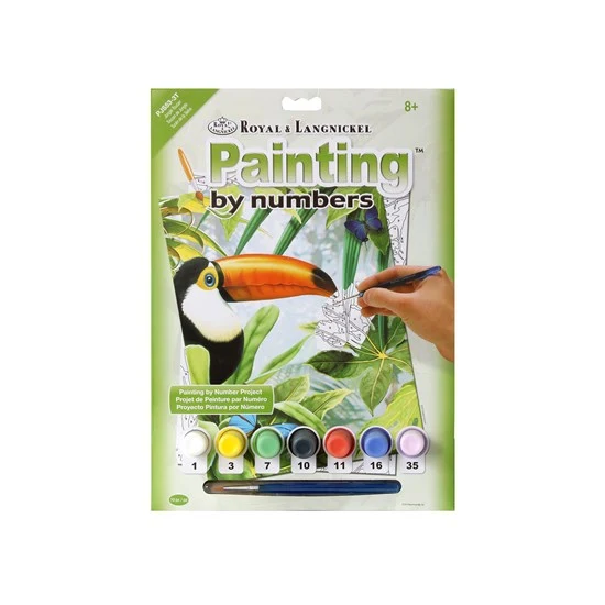 Paint By Numbers Junior Toucan