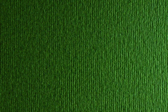 Fabriano Bristol Board - FOREST INCH - 20 X 28 INCHES GRAMPERSQU