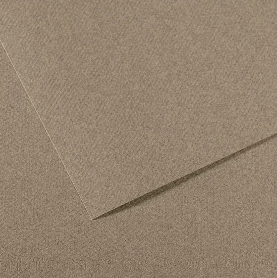 Colored paper - 160gsm - mi-teintes - 50x60cm - steel gray
