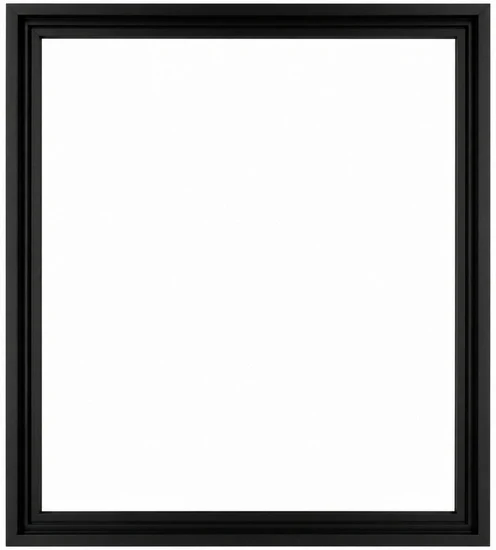Floater Frame Wood Regular Black - 16''X20''