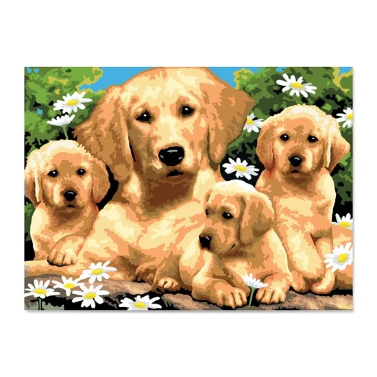 Paint By Numbers Junior Golden Retriever