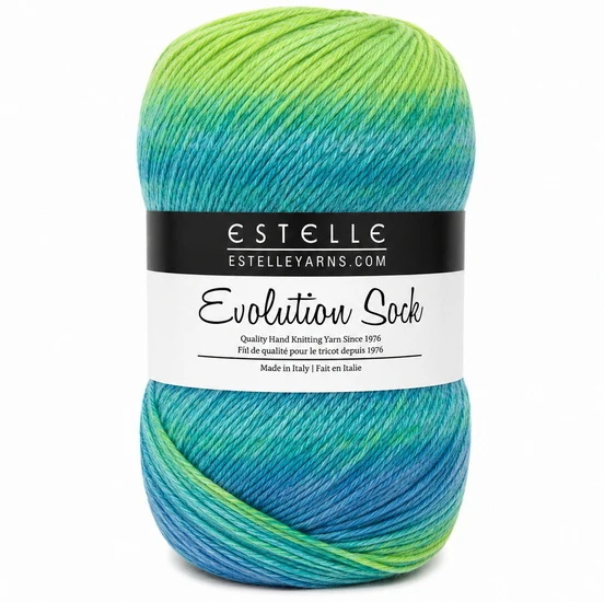 Yarn evolution socks #1 100g lake